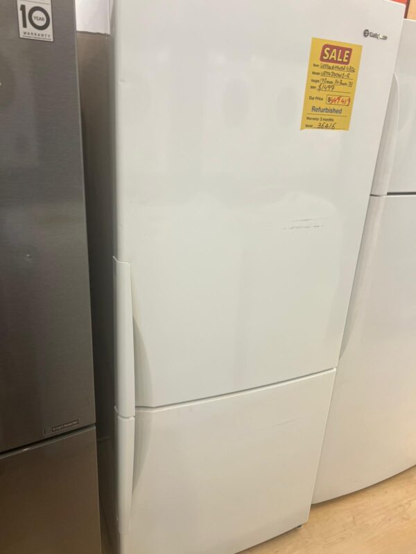 WhatsApp Image 2026 03 13 at 07.10.25